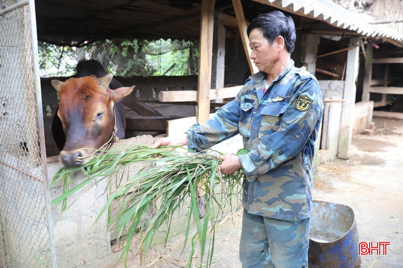 Nguyễn Văn Tâm