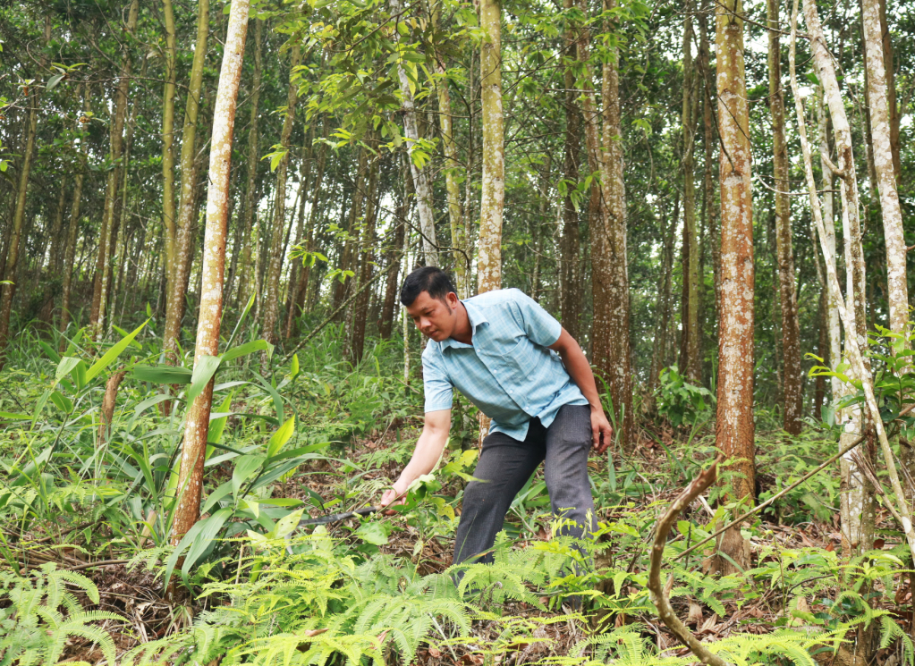 hoàng văn huy