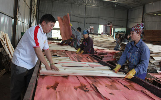 nguyễn mạnh cường