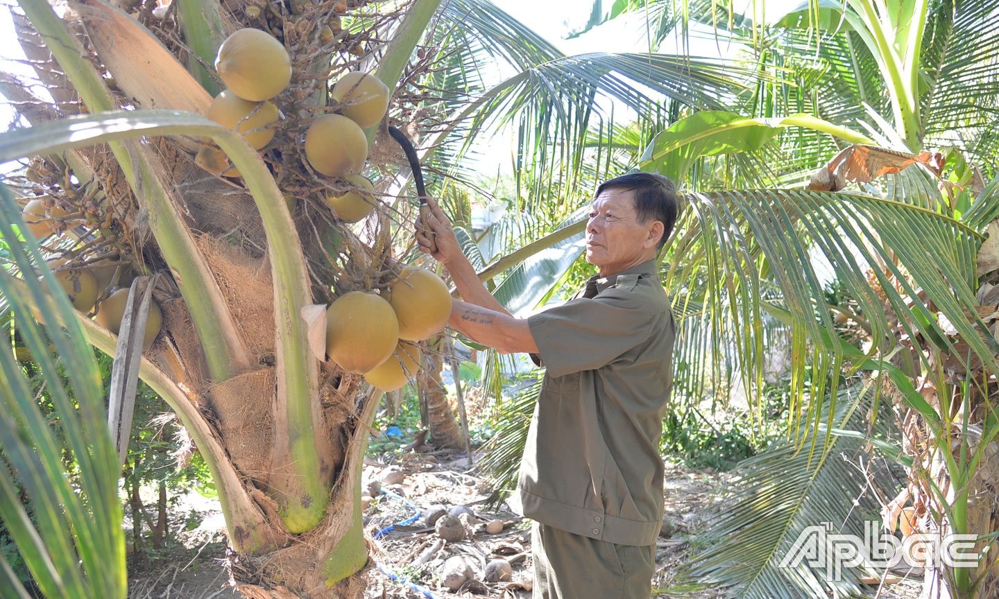 ngô văn sáu