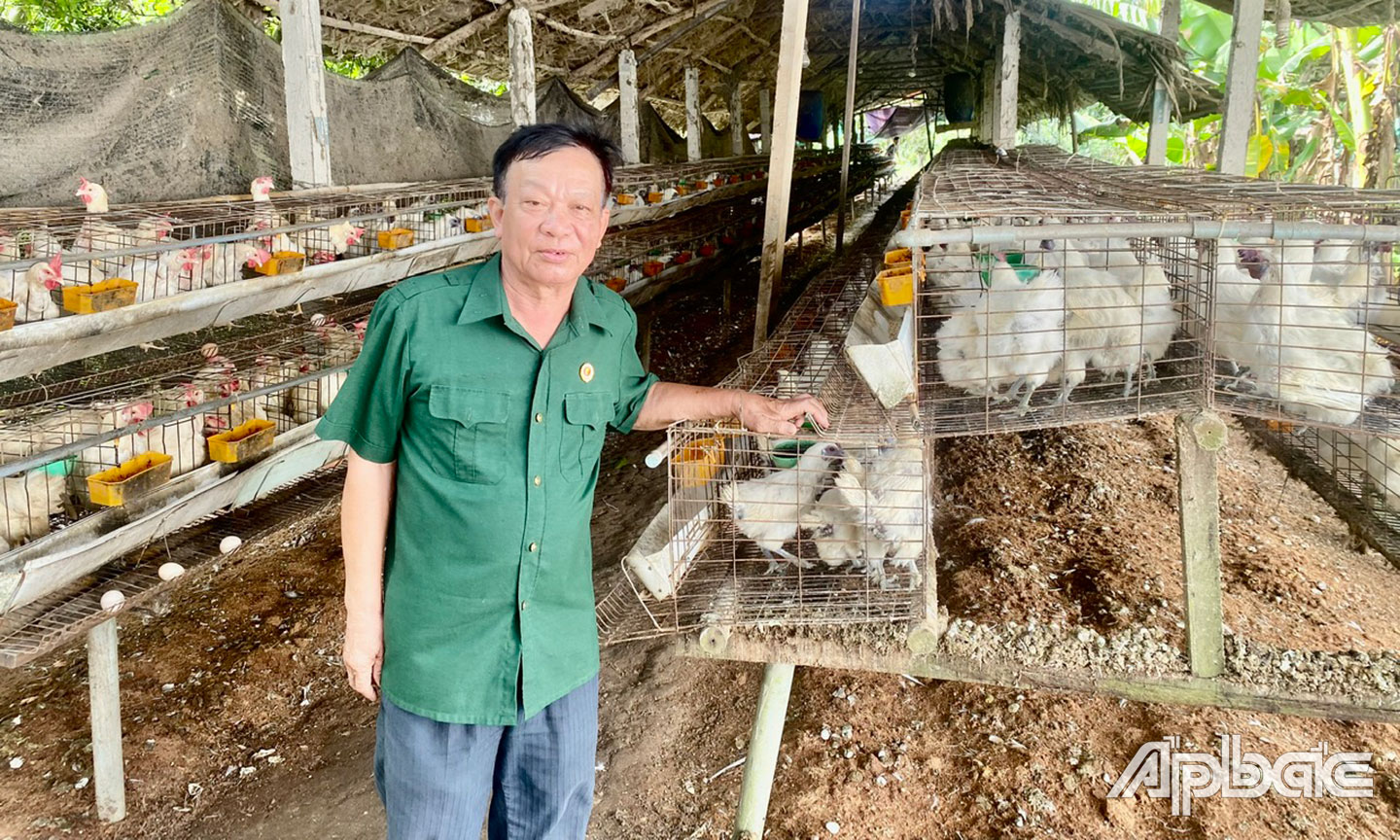 đoàn thanh phong