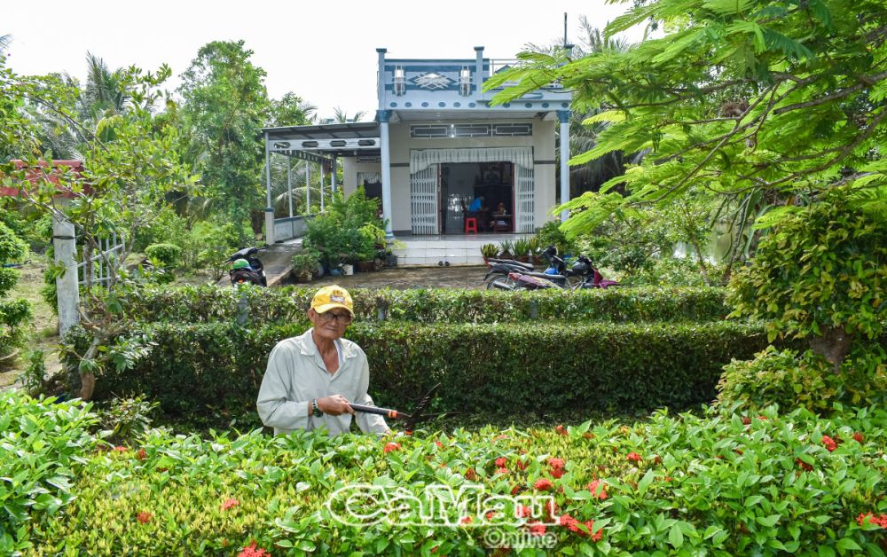phan tấn nghề