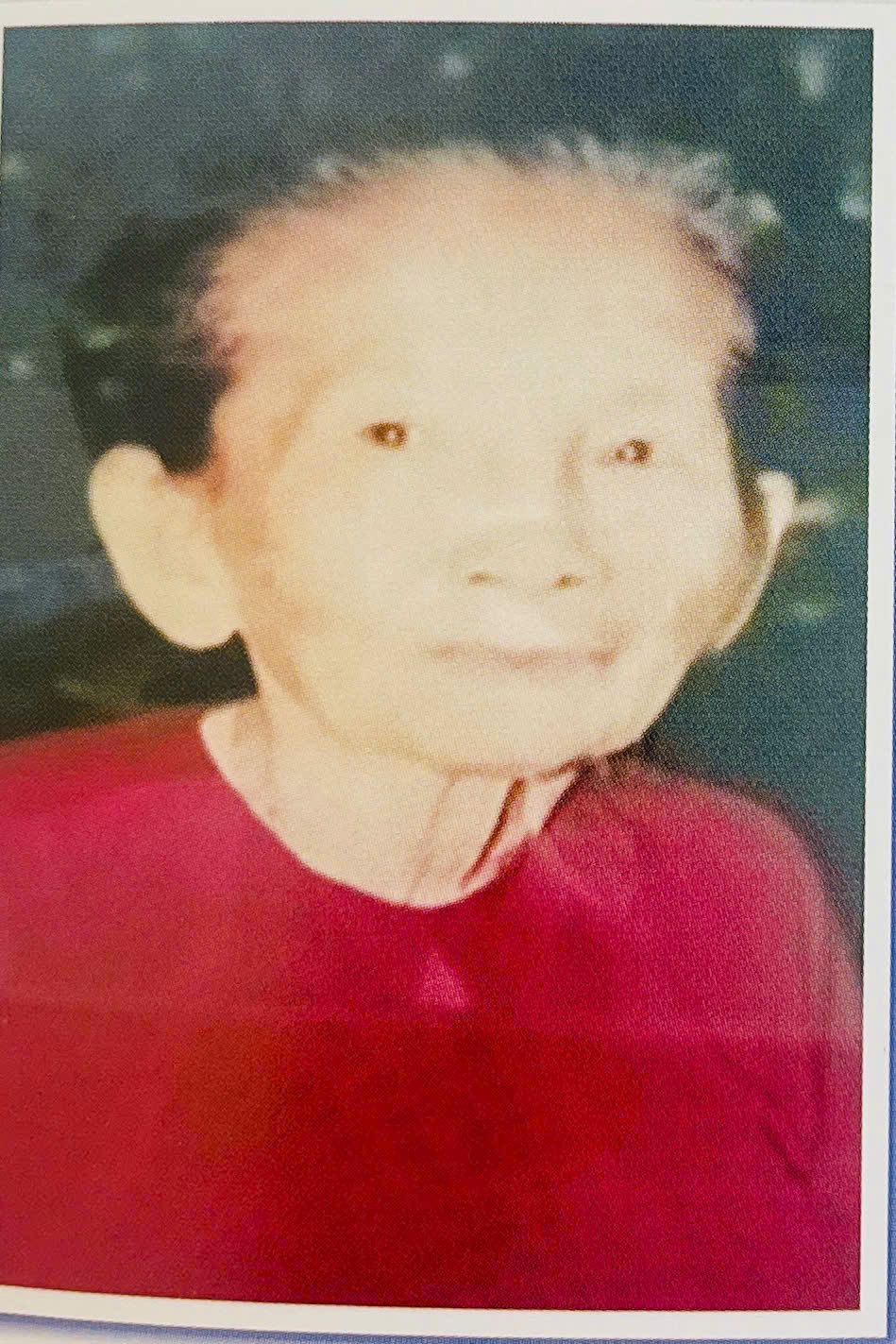 Dương Thị Quân
