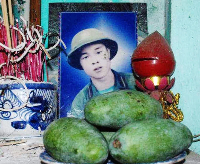 Đào Nguyên Hồng
