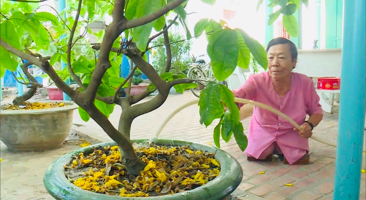 Phạm Thị Mai