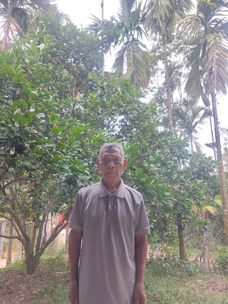 Hồ Văn Luyện