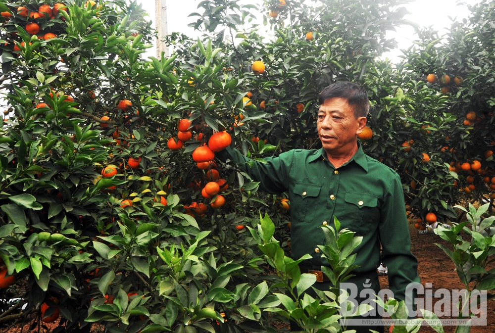vũ văn khoa