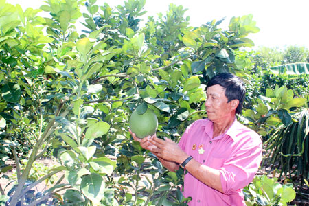 Nguyễn Xuân MẠnh