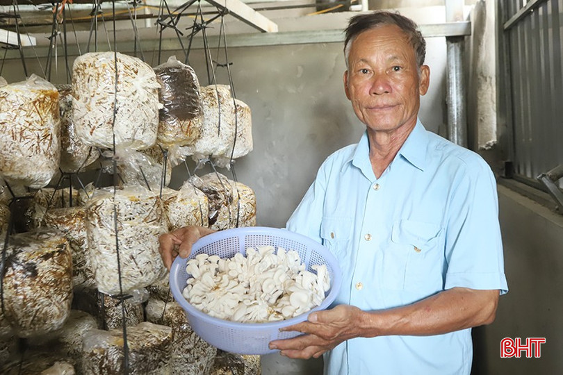 lâm hồng định