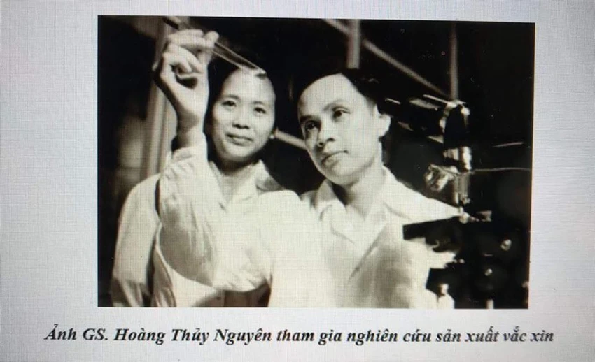 Hoàng Thủy Nguyên