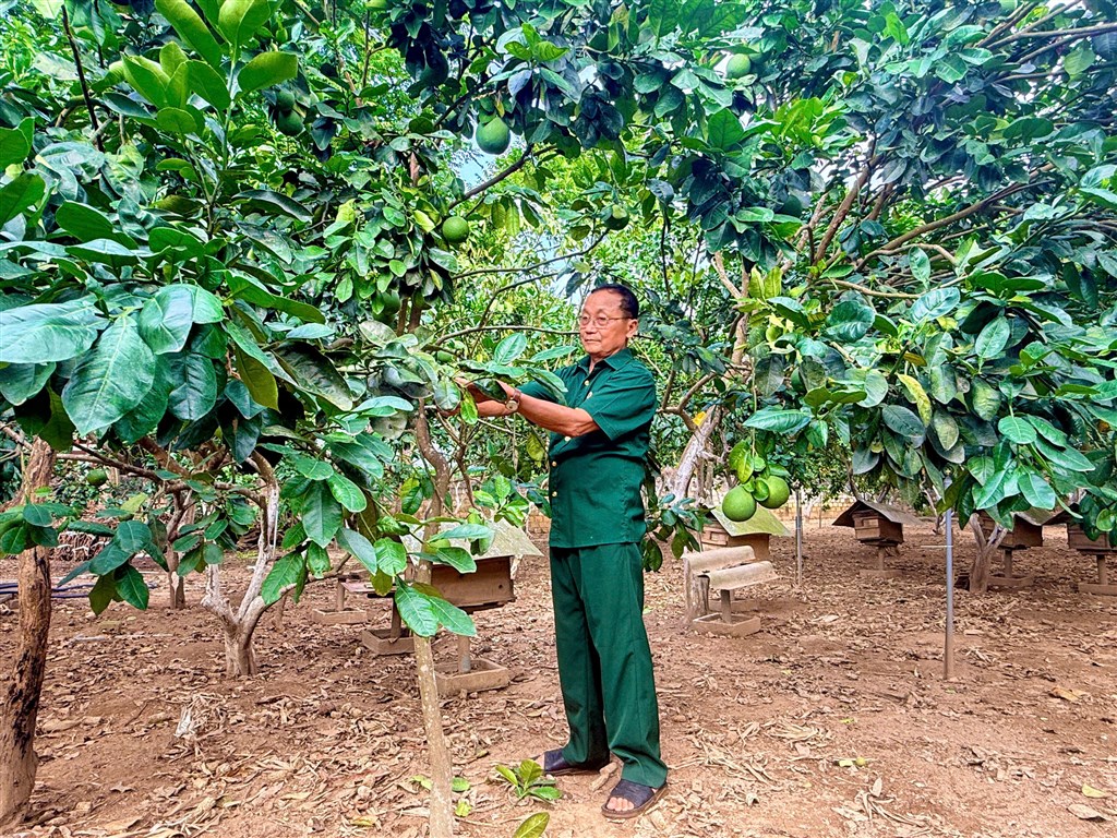 nguyễn viết trình