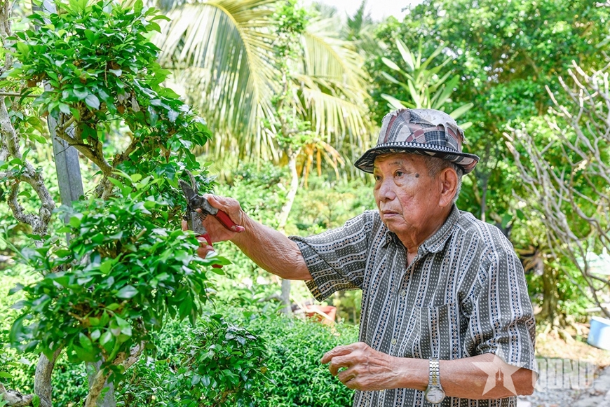 Phạm Minh Thảo