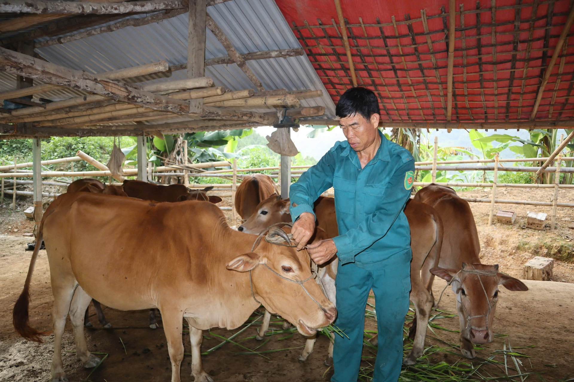Lý Văn Thắng