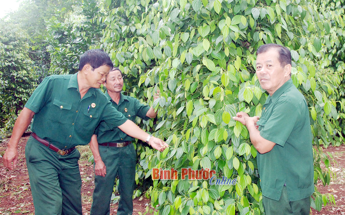 Dương Đức Lâm
