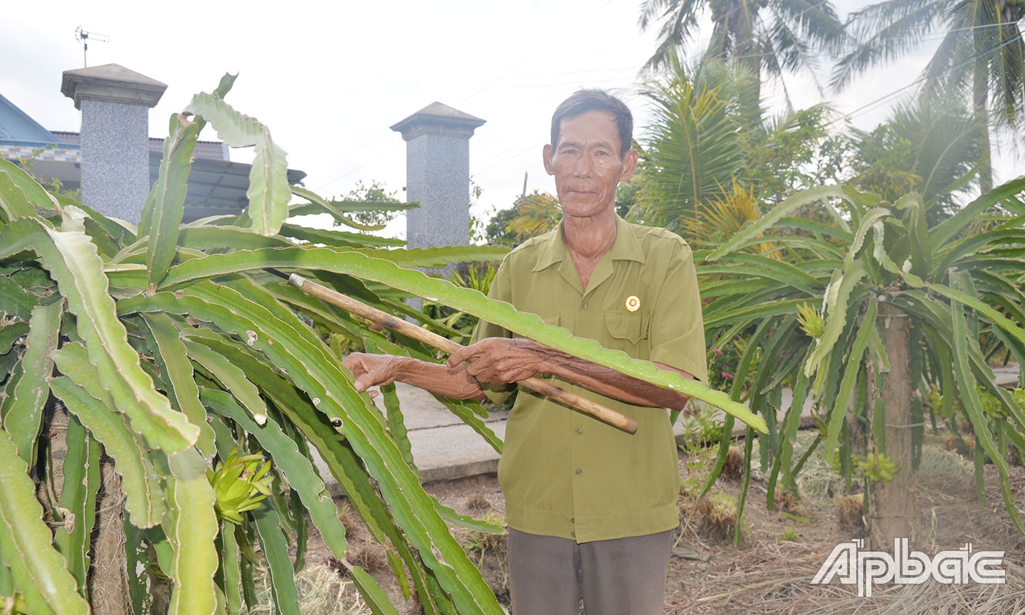 Mai Văn Nhàn
