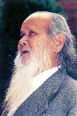 Anh hùng Núp (Đinh Núp)