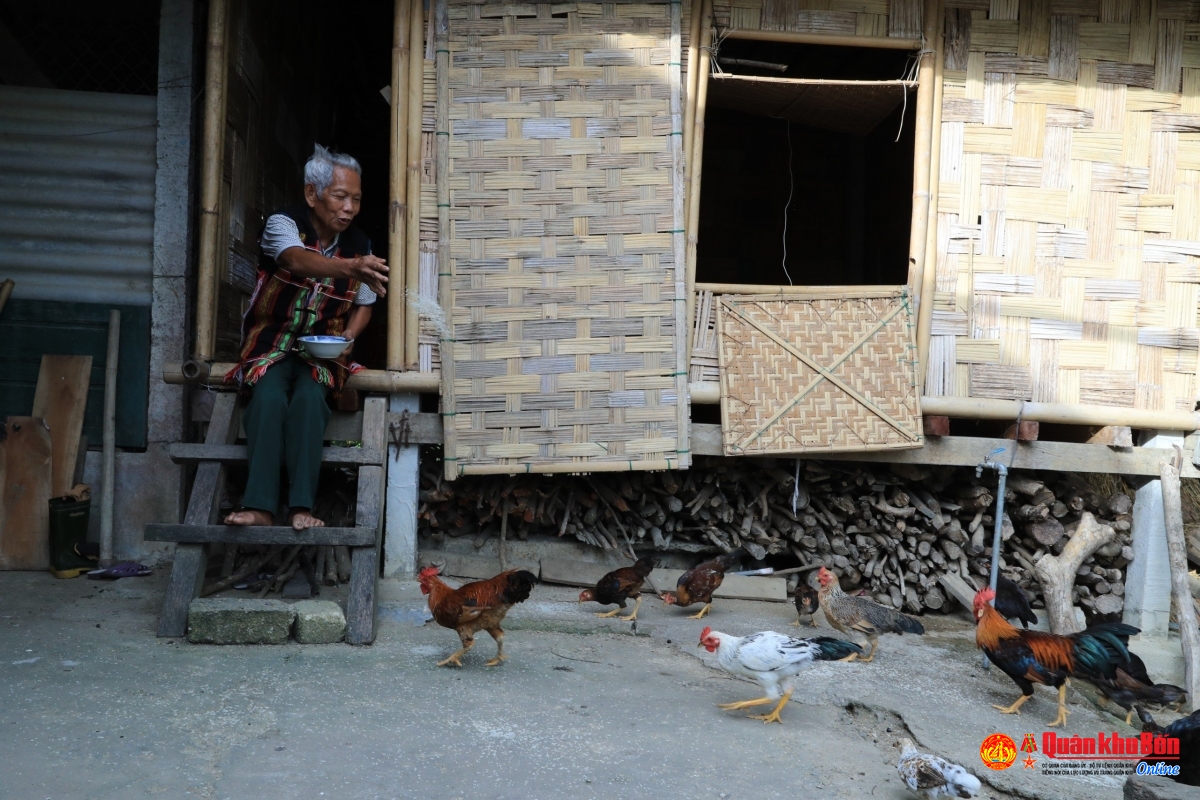 Hồ Đức Vai