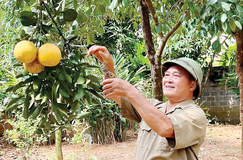 Hoàng Văn Lượng
