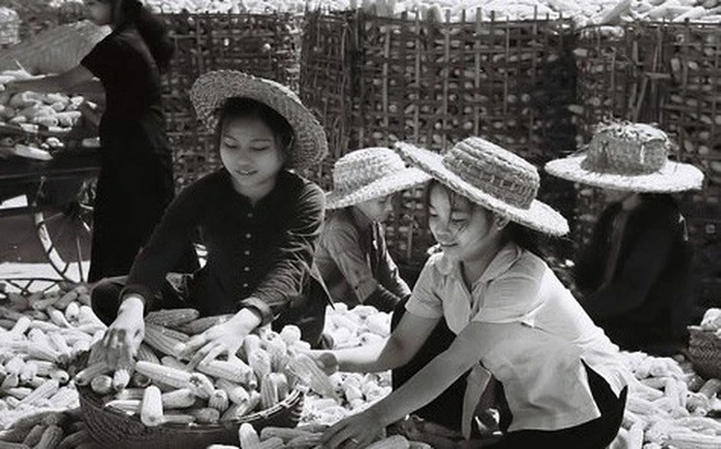 Bà Phạm Thị Thu