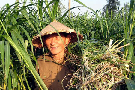 Hồ Giao