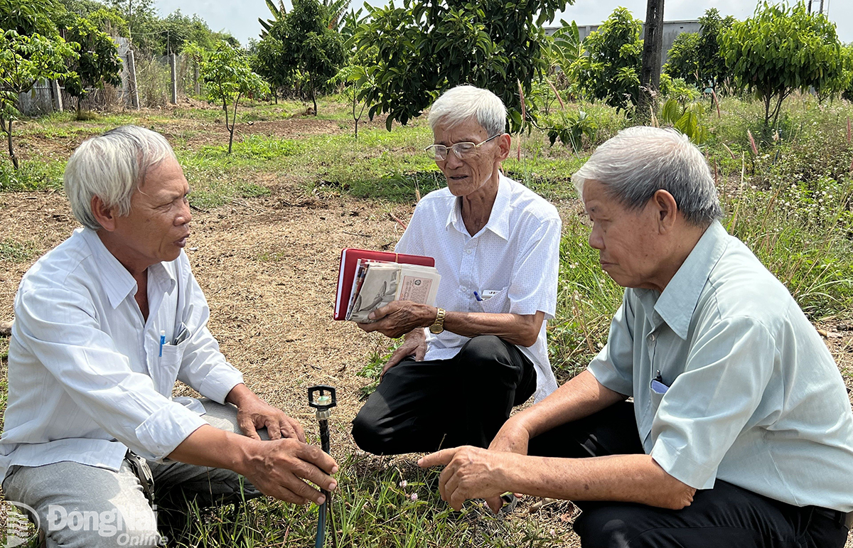 lương văn ban
