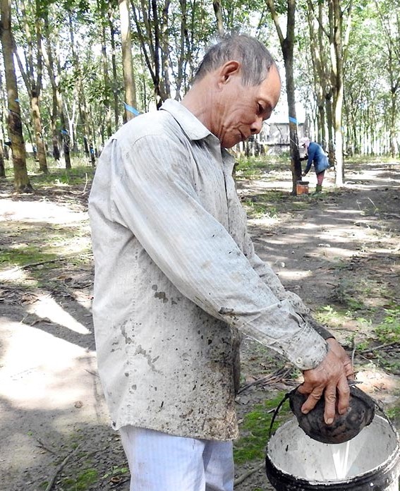 hoàng văn thàm