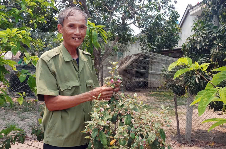 Đàm Xuân Đê