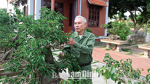 Lại Ngọc Ngợi