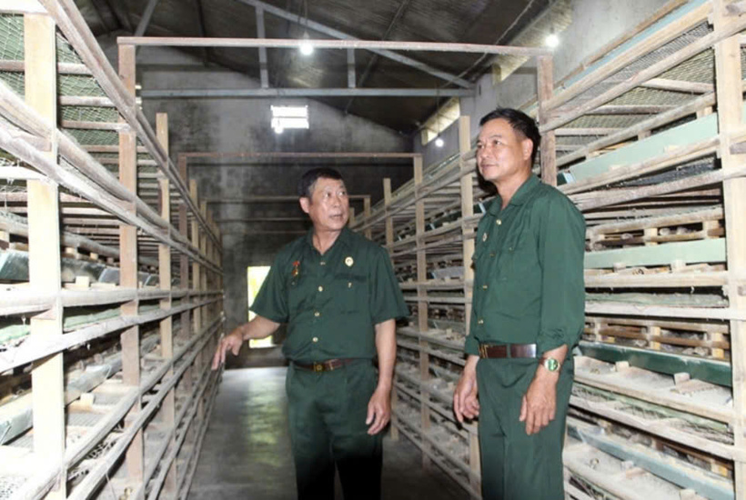 nguyễn văn lâm