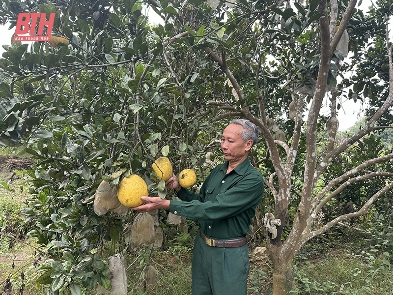 lê duy lượng
