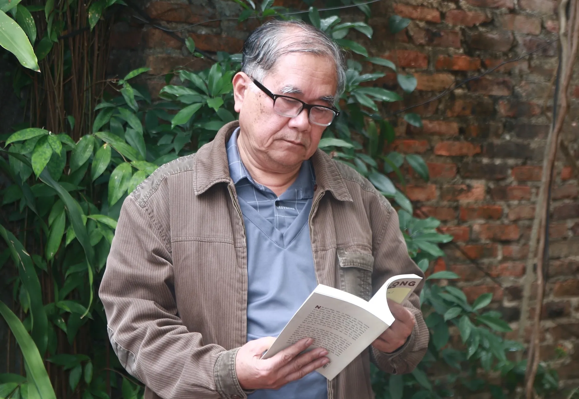 Nguyễn Thái Long