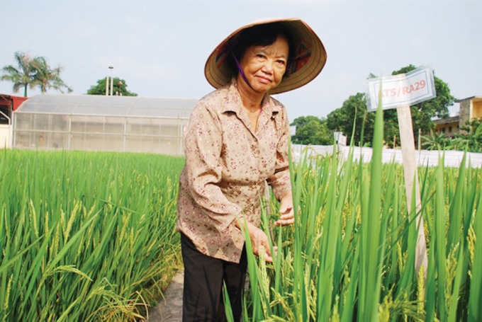 Nguyễn Thị Trâm