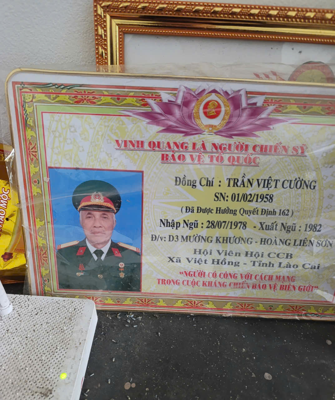 Trần Việt Cường
