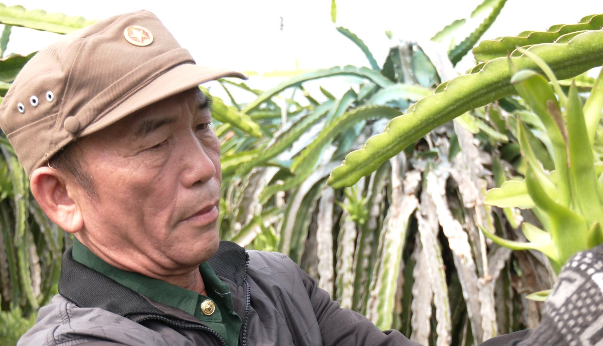 lê anh hùng