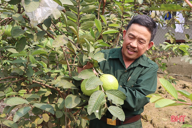 trần văn hồng