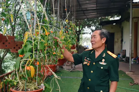 Vi Văn Đảm