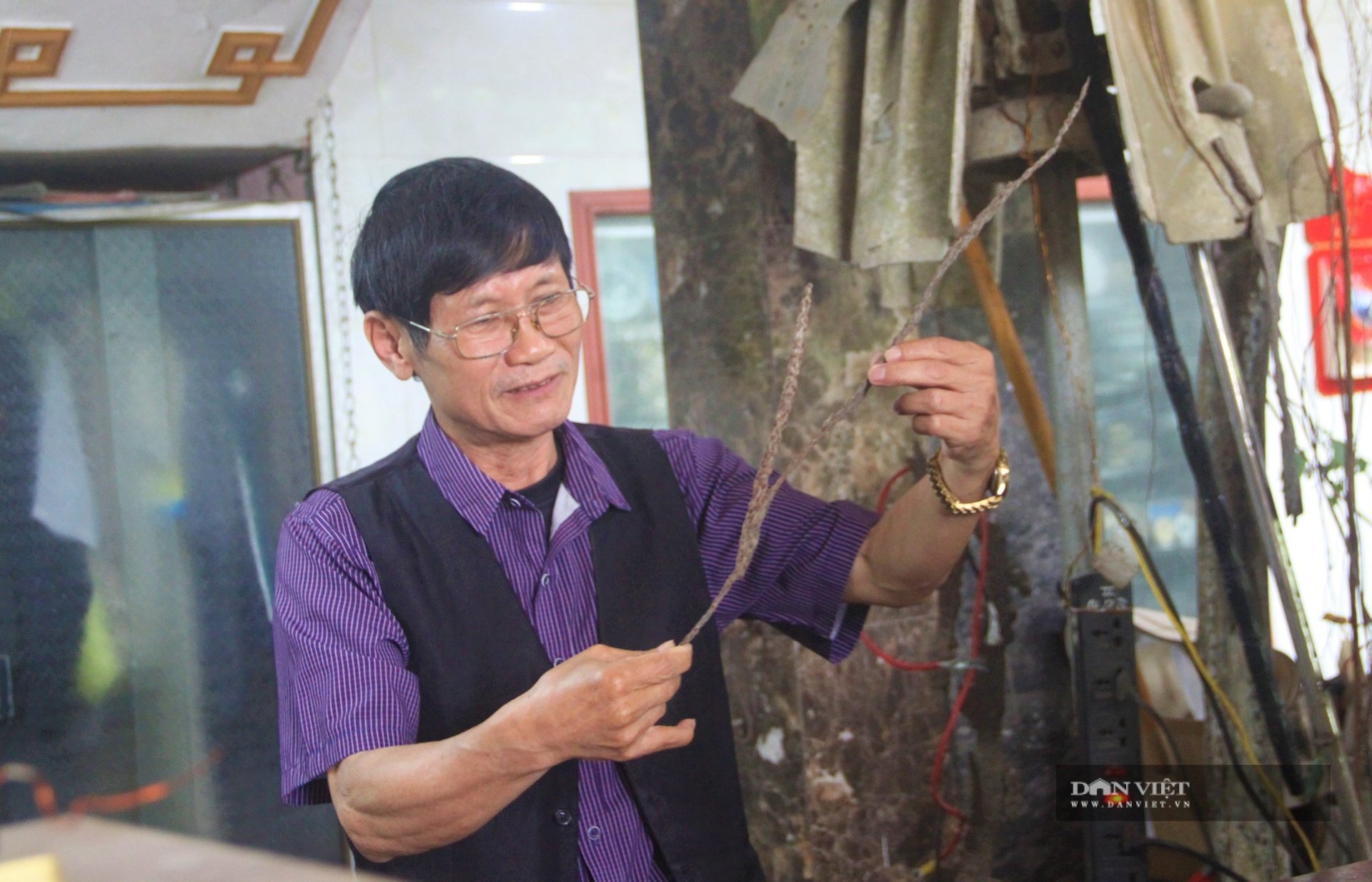 Võ Văn Hoan