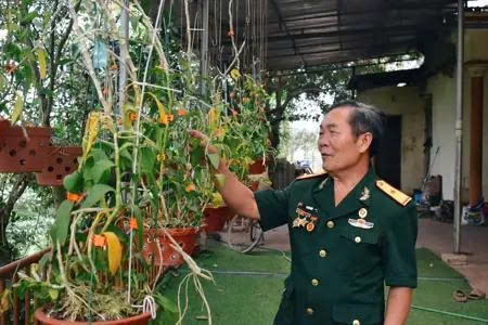 Vi Văn Đảm