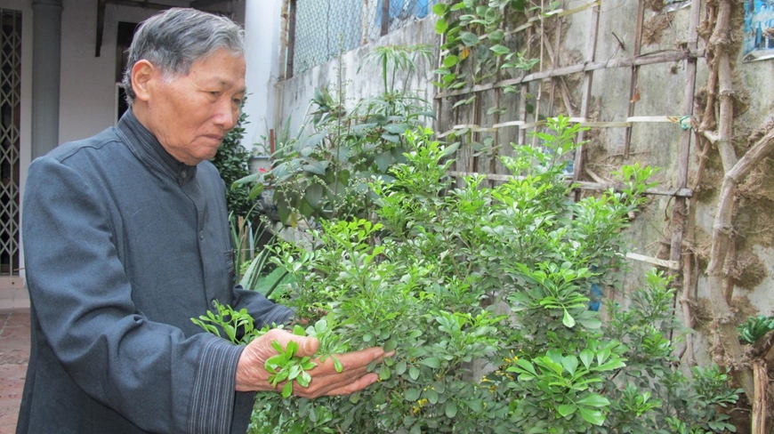 Vũ Ngọc Bích