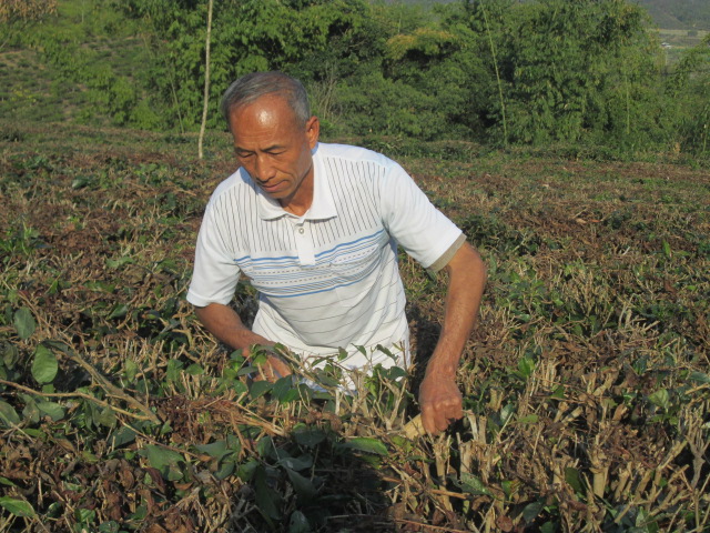 lò văn phúm