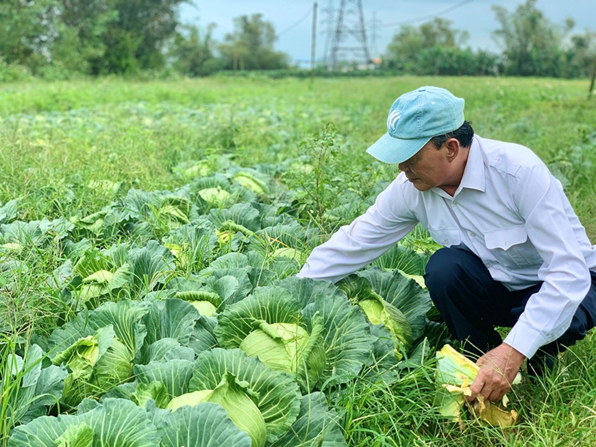 mai chức thường