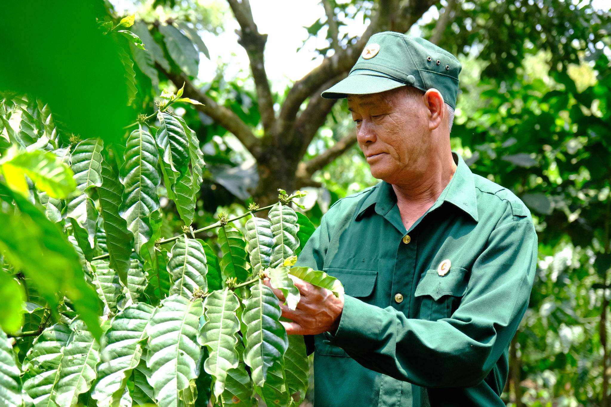 dương ngọc mỹ