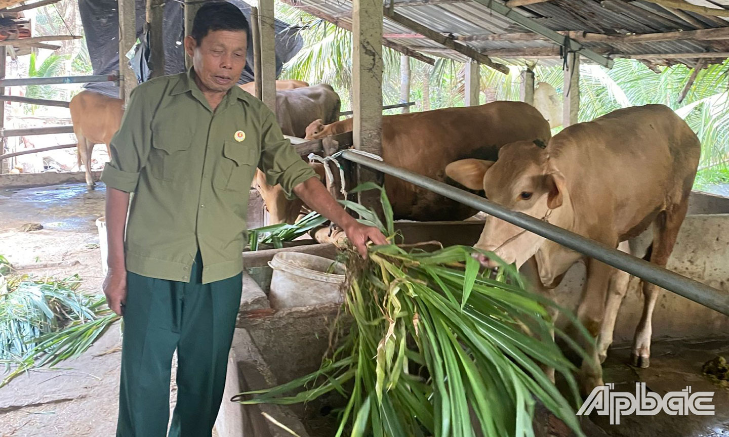 Phạm Huy Phong,