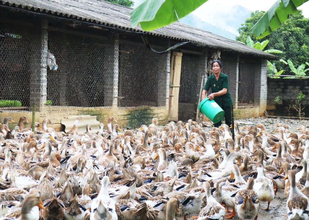 đàm thị nga