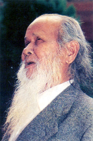 Đinh Núp