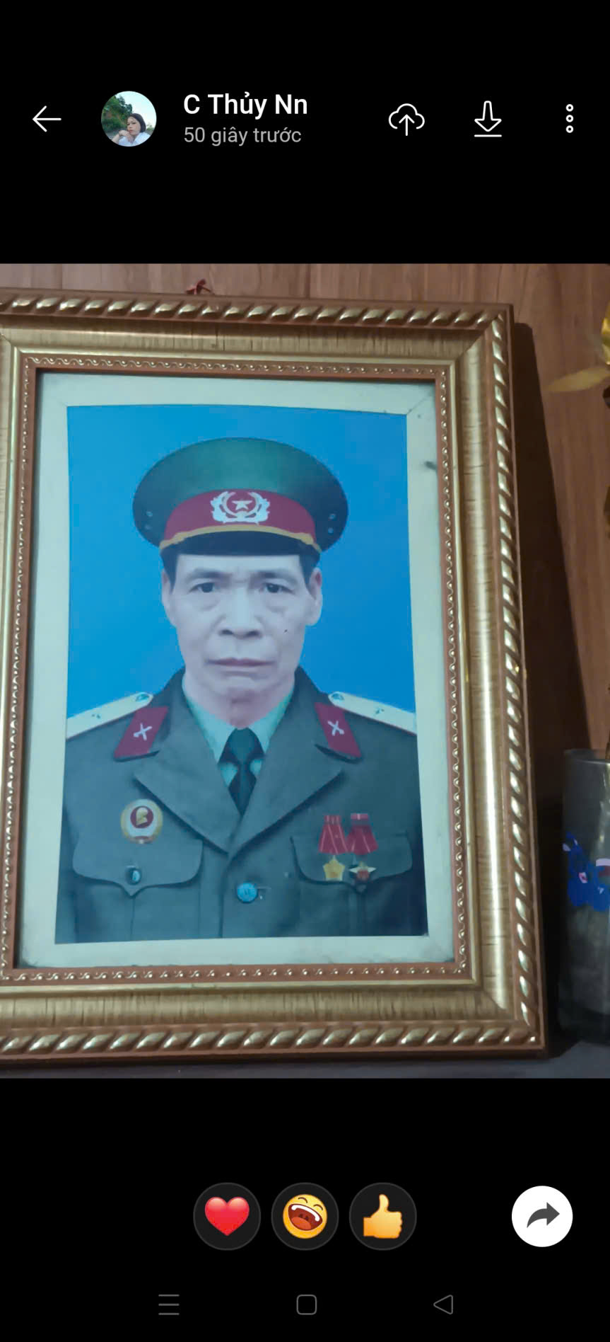 Lục Kim Viện