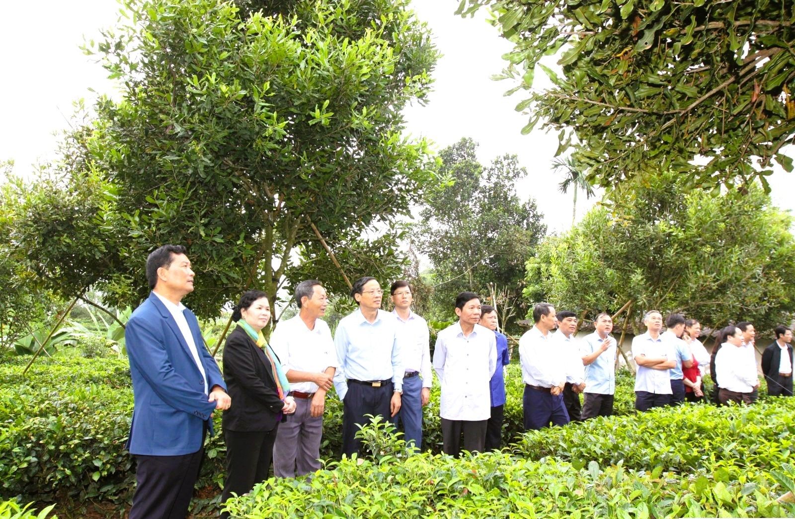 Nguyễn Xuân Cát.