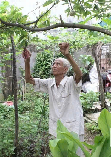 Chảo Phụ Sỉn