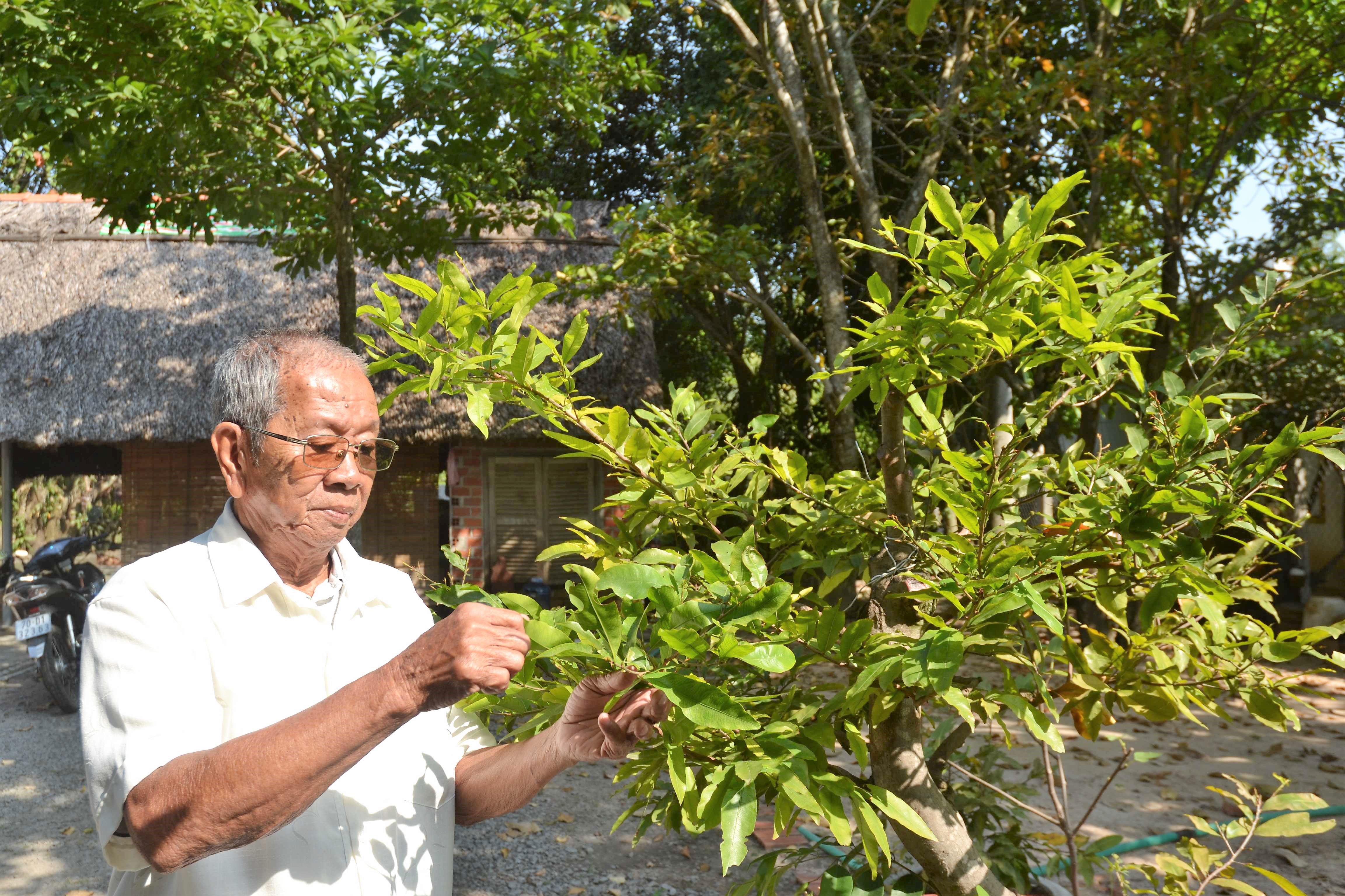 Nguyễn Văn Thành
