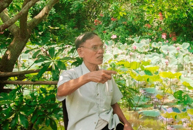 Đinh Như Quang